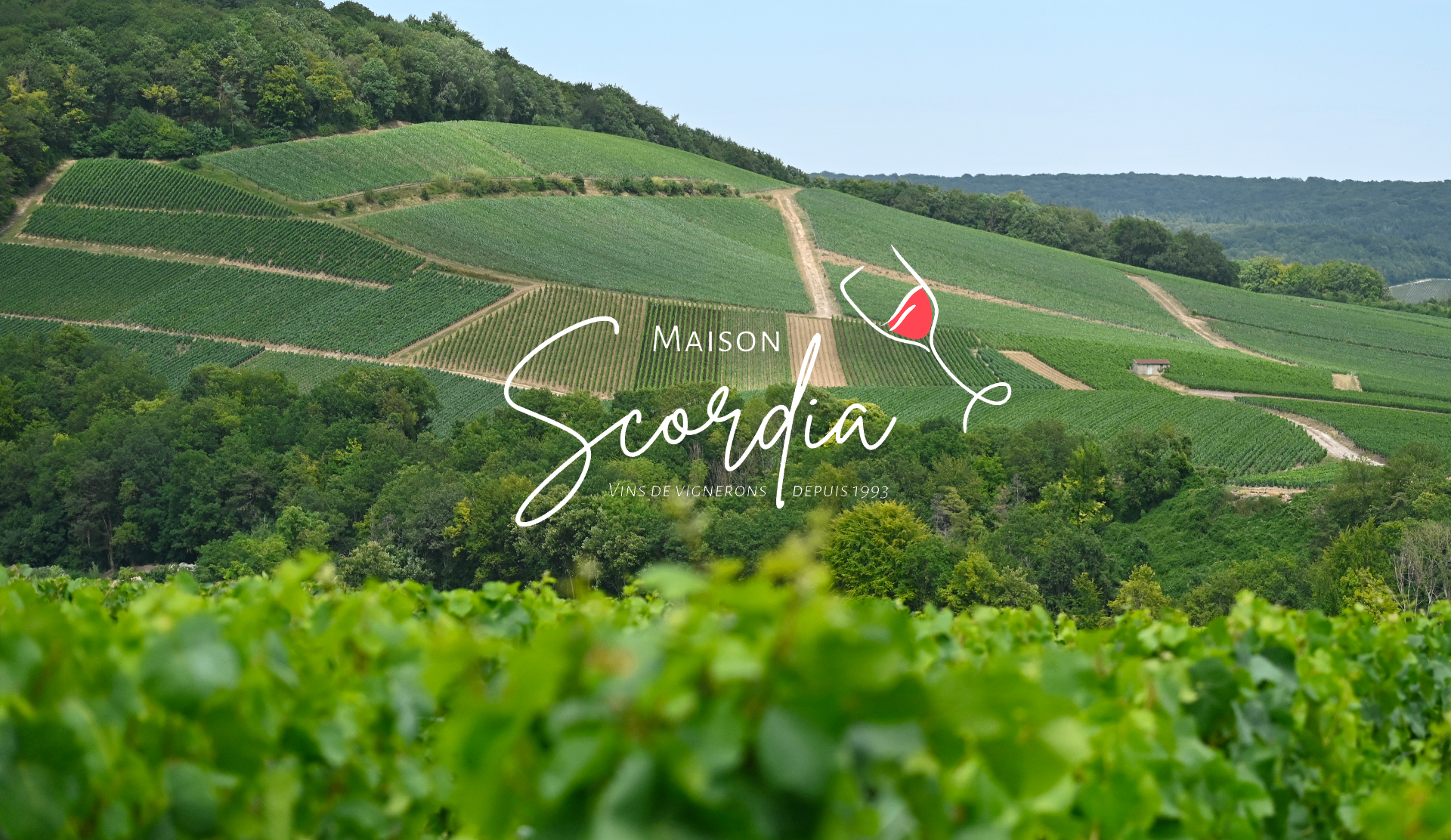 Vignoble Maison Scordia